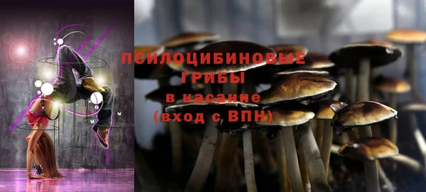 герыч Корсаков