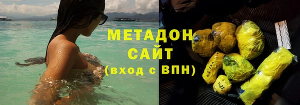 прущие грибы Коряжма