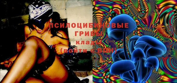 мдпв Костерёво